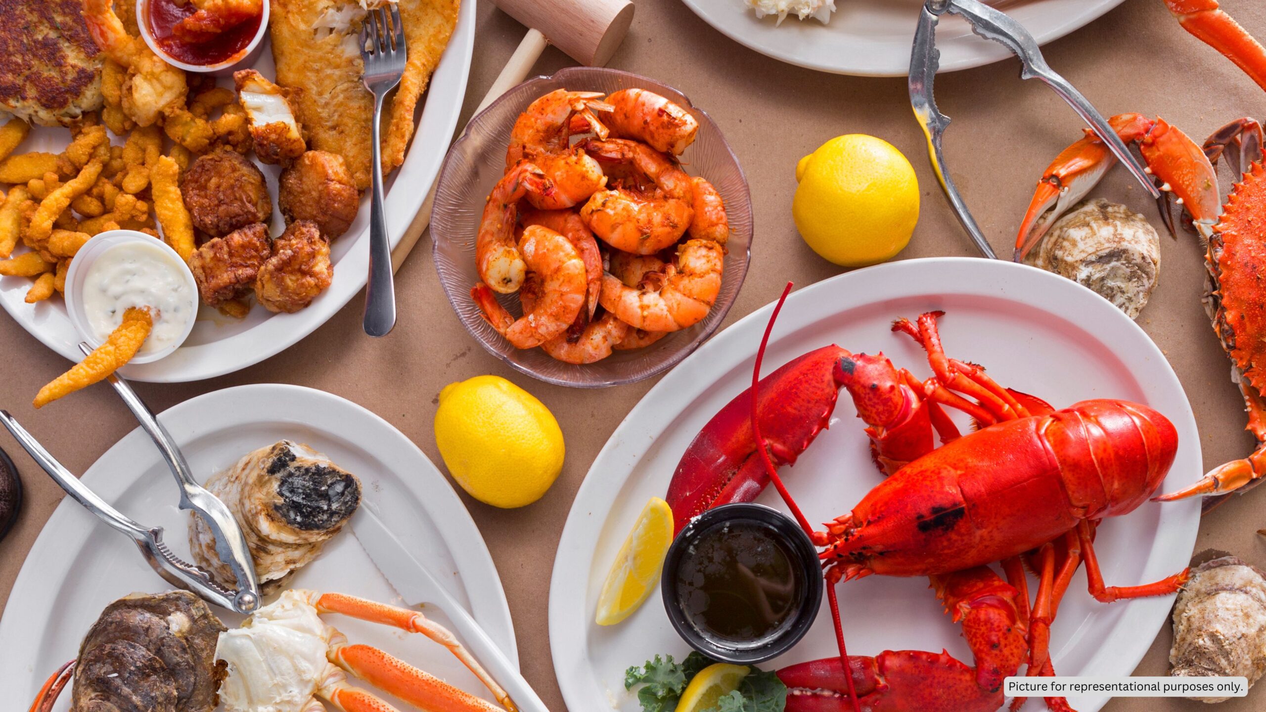 Navigating Dubai’s Richest Raw Bar at Toshi